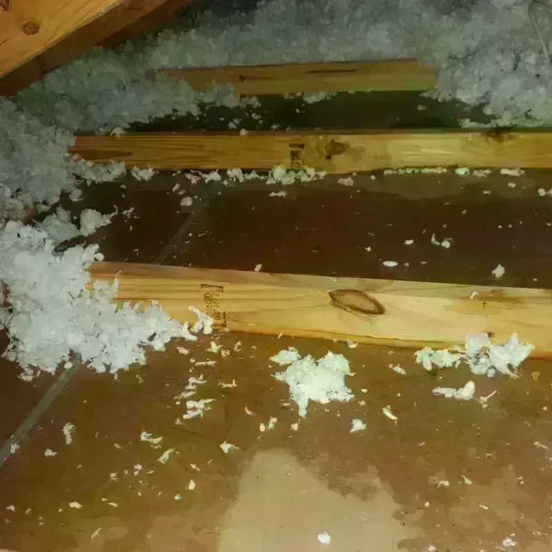 Attic Water Damage in El Segundo, CA